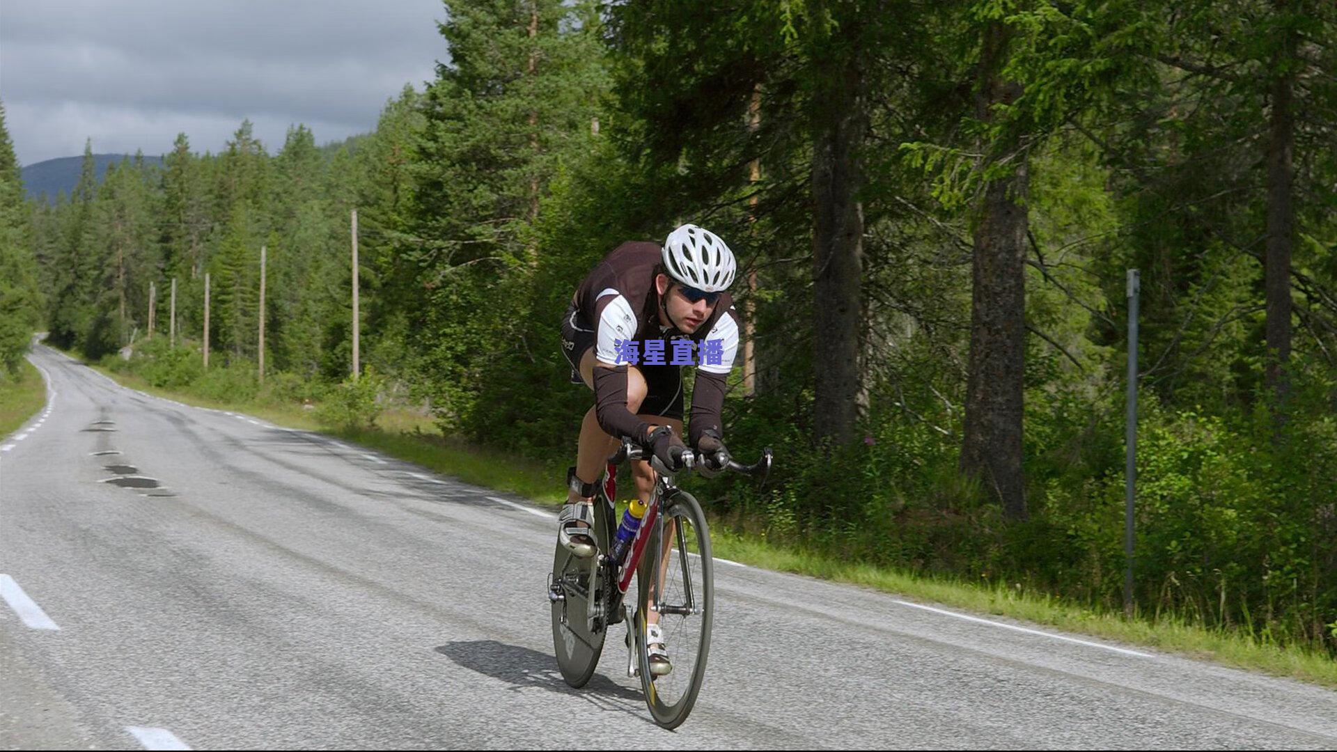 掘金残阵淬炼韧性，主力缺阵催生团队进化，替补与主帅信任纽带铸就新战力